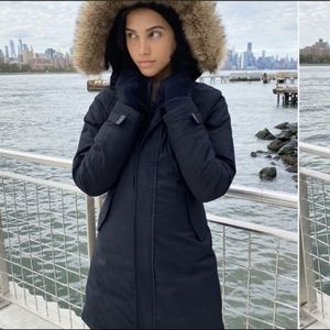 Aritzia summit parka